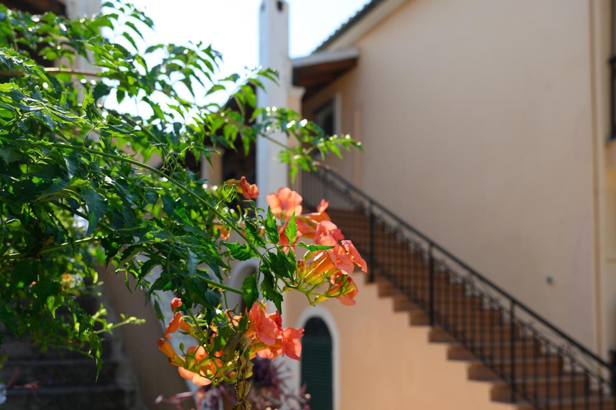 Xenia'S Apartments In Alepou Corfu  Экстерьер фото